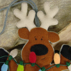 Santa Claus reindeer